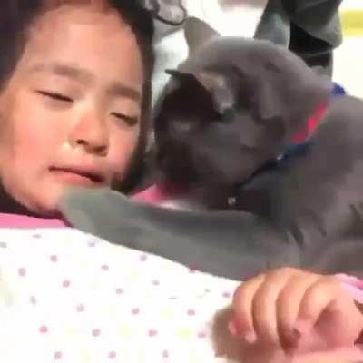 Cat: Don't cry little girl. I am here! this cat is so adorable.