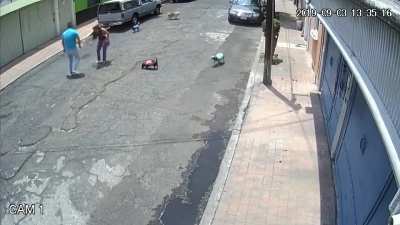 Potato shaped POS attacks lady instead of having a leash on his dogs