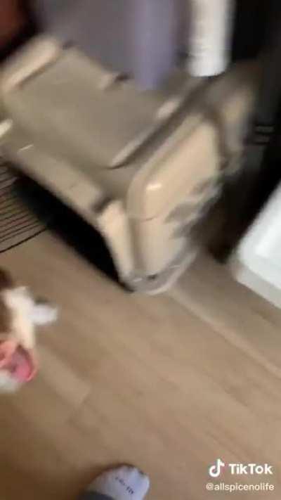 Dog only eats food when its 