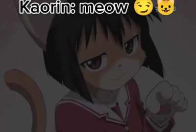 🐈🐈‍⬛️🐈🐈‍⬛️🐈🐈‍⬛️🐈🐈‍⬛️🐈‍⬛️🐈🐈‍⬛️🐈‍⬛️🐈