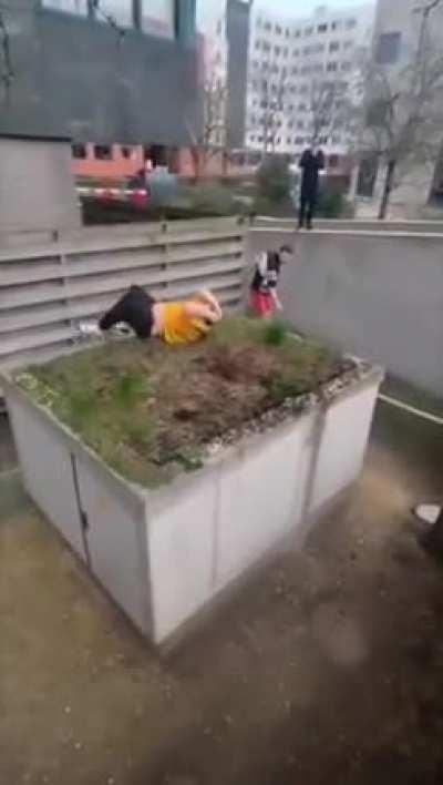 WCGW wanted to jump