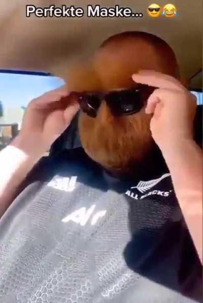 Thanks, I hate such mask...