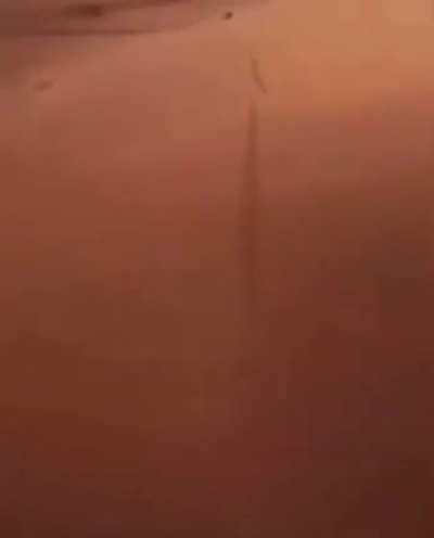 The indomitable beetle spirit