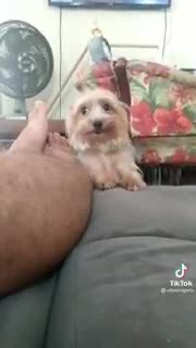 When you need something but you’re too shy