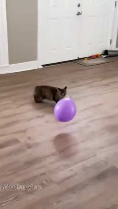 ¡Viernes de volteretas!