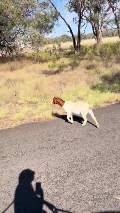 Felix joined us today