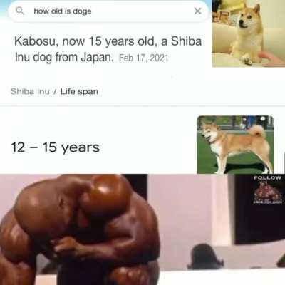 Take me instead 😭