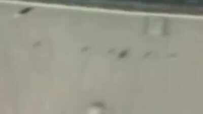 sugrįžk prašau! 😭