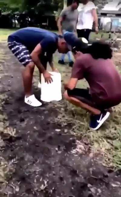 What's under the bucket?