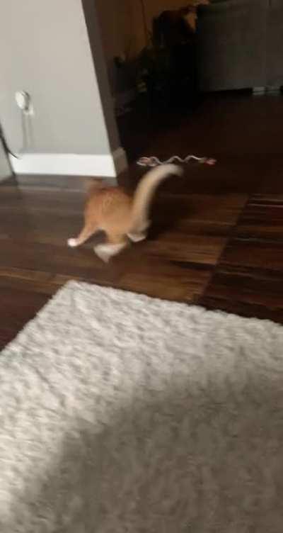 I don’t even think George knows why he’s running