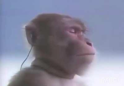 Season 4 theme got me like: