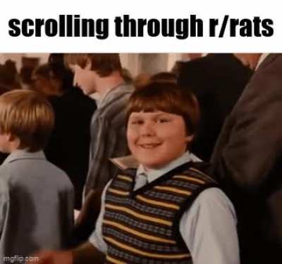 why are their balls so big