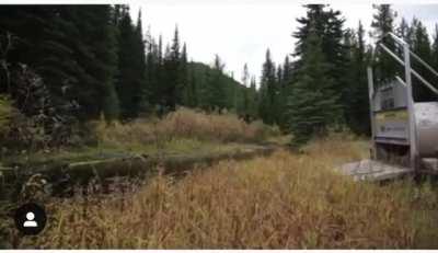 Releasing a bear, that has its priorities in order.