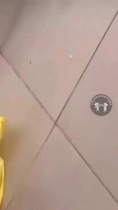 Culinária não é meu forte