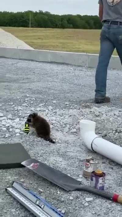 Quite possibly the best video you will see on the internet today!