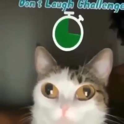 Indominatable Will wunkus