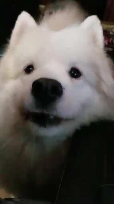 Moooom, I have no concept of 