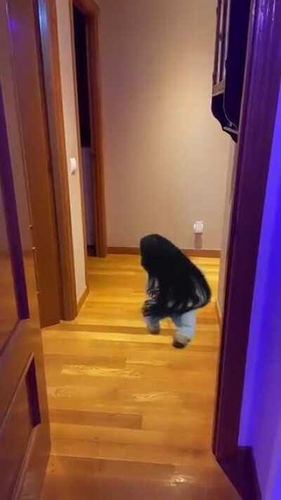 Fue solo un pequeño accidente 😔💔