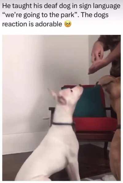 Oh my god I love this so much!!!