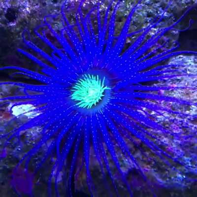 Admiring this beauty!