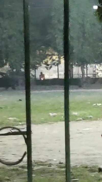 Gaddar Sale it happened in Delhi, Mukherjee nagar in my colony