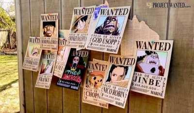 Thought they would look nice blowing in the wind