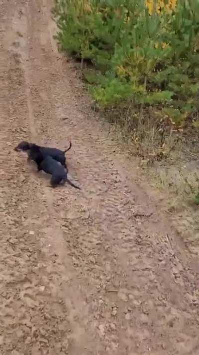 This is what I call a party!