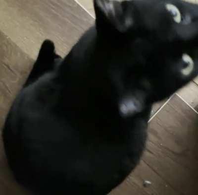 Obi likes to yell “mom!” at odd hours of the night