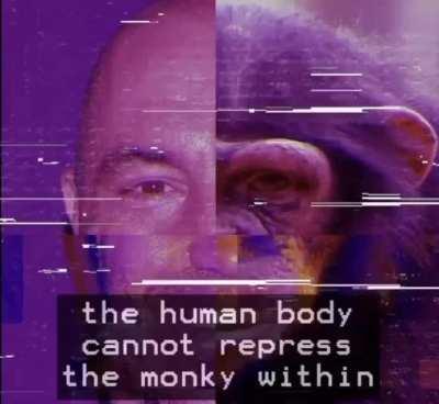 Hey Jamie pull up that video of the monky