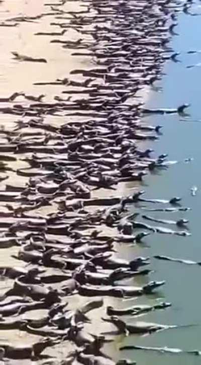 I actually have nightmares like this