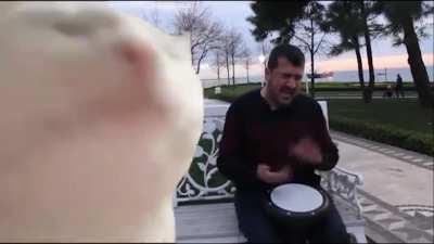 İşte aradığınız o meme şablonu...