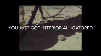 I drive a Chevrolet movie theater