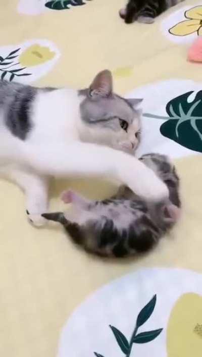 What's matter dear .. nightmare again?