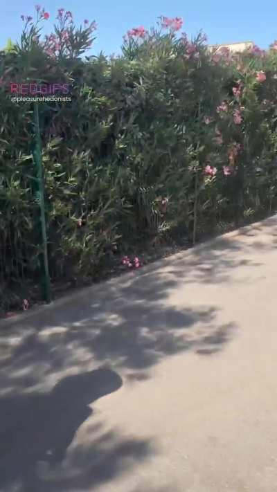 Need some company at the nude beach