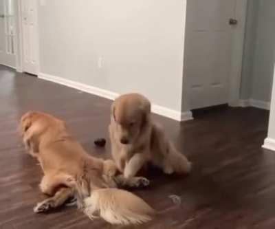 Gonna take a quick nap right here