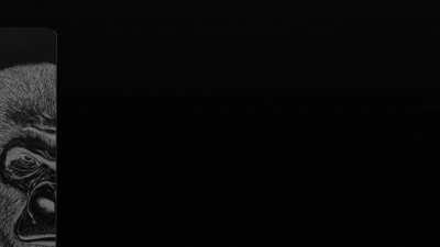 I designed an exclusive card for Apes to use post MOASS. No spending limit of course. (Credit to Arulo for the beat)