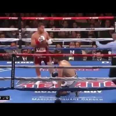 Video of Canelo punching everyone in the body. Thought you guys might enjoy it.