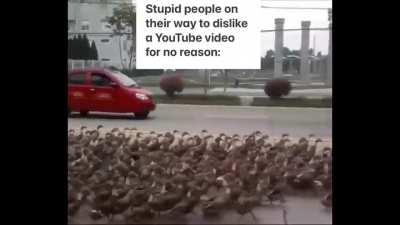 Experimenting with a new meme layout: