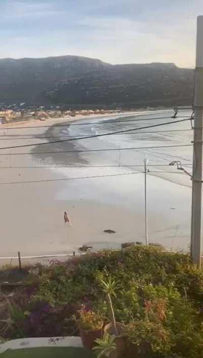 Her Fate Was Almost Sealed (Cape Town, SA)