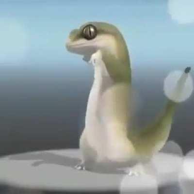 PUTA QUE PARIU, meu gato botou um ovo, mas o gato não põem ovo, PUTA QUE PARIU de novo mar PUTA QUE PARIU. Pega o gato, arrocha o gato, não é gato, é um macaco, banana pra todo lado, mer PUTA QUE PARIU x2