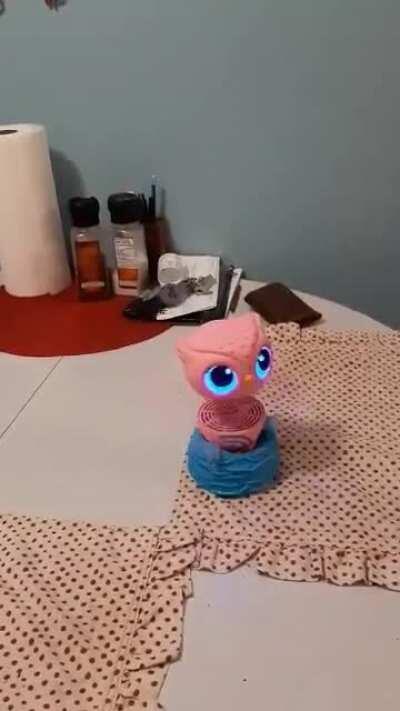 My daughter's new toy