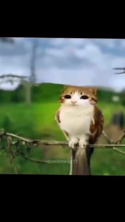 Shes buried at 53°50'13.9