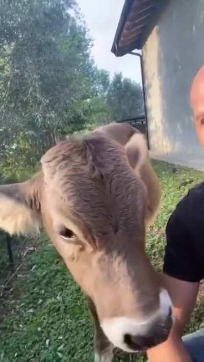 The birth of this sub