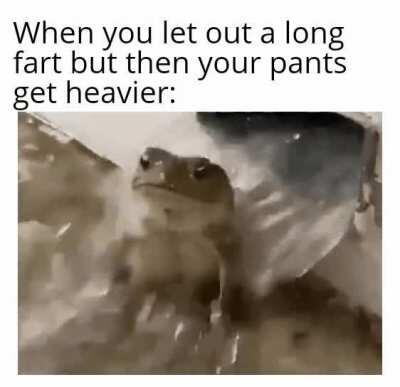 It seems like I have made a severe lapse in my judgement, Well Shit( literally)