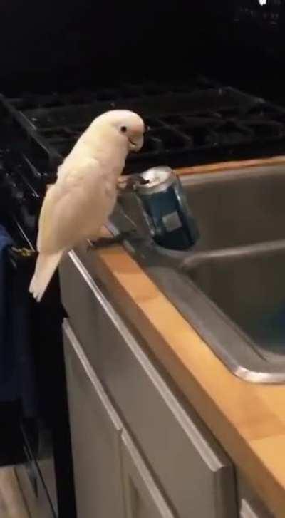 My favourite day of week