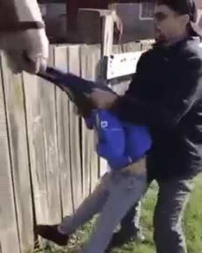 cinemadosmemes - Video #1397