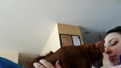 Nothing like a purring, kneading cat to help you relax and think.