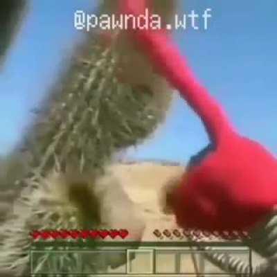 Wey quédate quieto!!