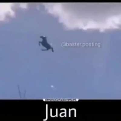 Juan.