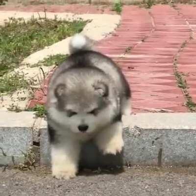 When you get sniped on the flank and need a revive